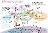 Weltoffen gestalten wir das Zusammenleben in Böblingen Weltoffen gestalten wir das Zusammenleben in Böblingen