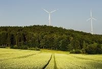 2 Windkrafträder am Waldrand
