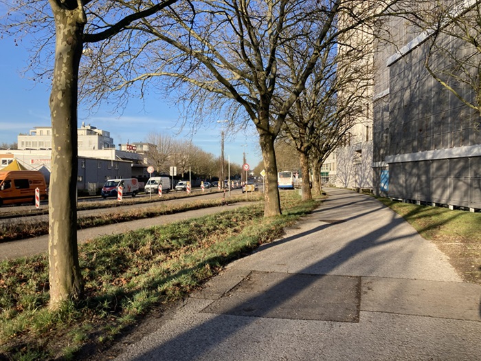 Klimaangepasste Umgestaltung Calwer Str.