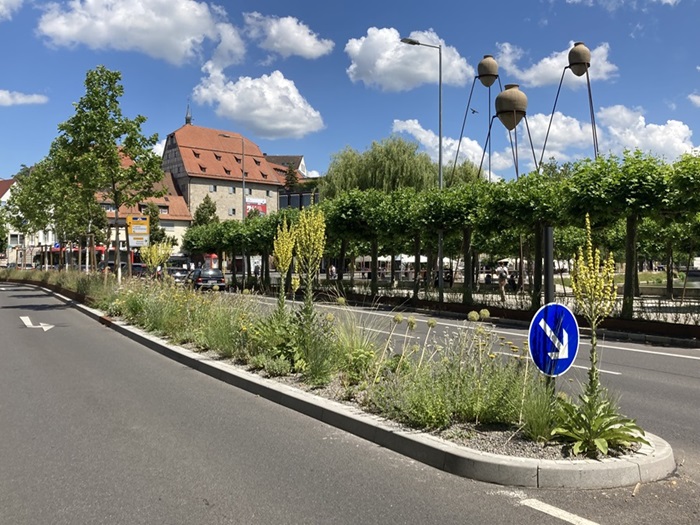 Klimaangepasste Umgestaltung Herrenberger Str. Klimaangepasste Umgestaltung Herrenberger Str.