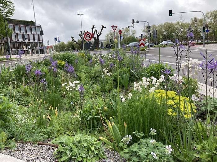 Klimaangepasste Umgestaltung Herrenberger Str. 