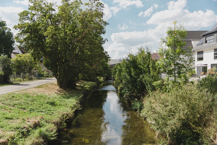 Schwippe in Böblingen Dagersheim Schwippe in Böblingen Dagersheim