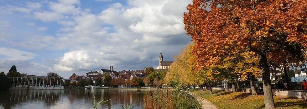 Stadtsee mit Herbstbäumen