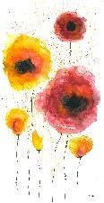 sechs rote, gelbe und orangene Mohnblumen in Aquarell, Bild Y. Paetel
