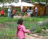 Klimaschutz Geschichten Menschen auf einer Wiese