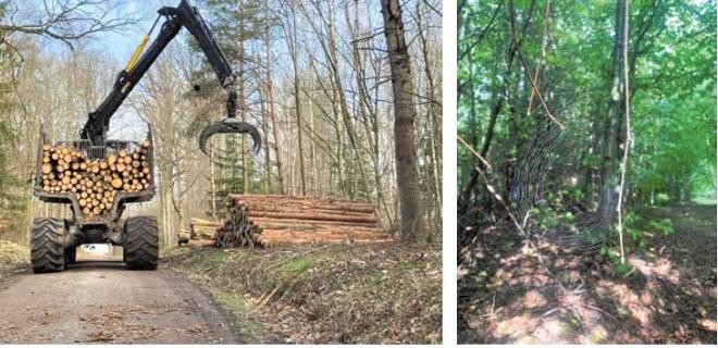 Eine großes Fahrzeug mit Baggerschaufel und Holz geladen im Wald 
