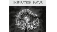 Inspiration Natur