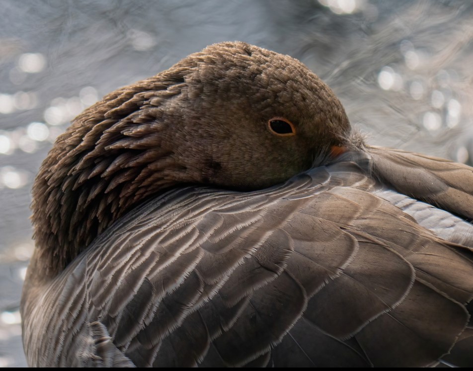 Logo Sozialpreis 2025